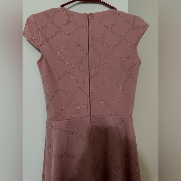 City Triangles Blush Cap Sleeve Dress with Sparkle Detail - Picture 5 of 6